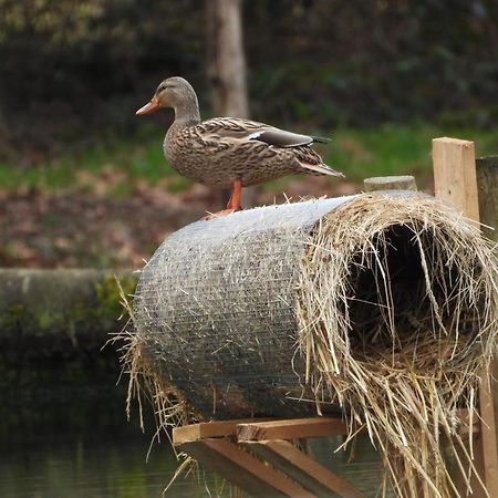 Maison D'Hotes En Pleine Nature Avec Chevaux Soucht Exterior foto
