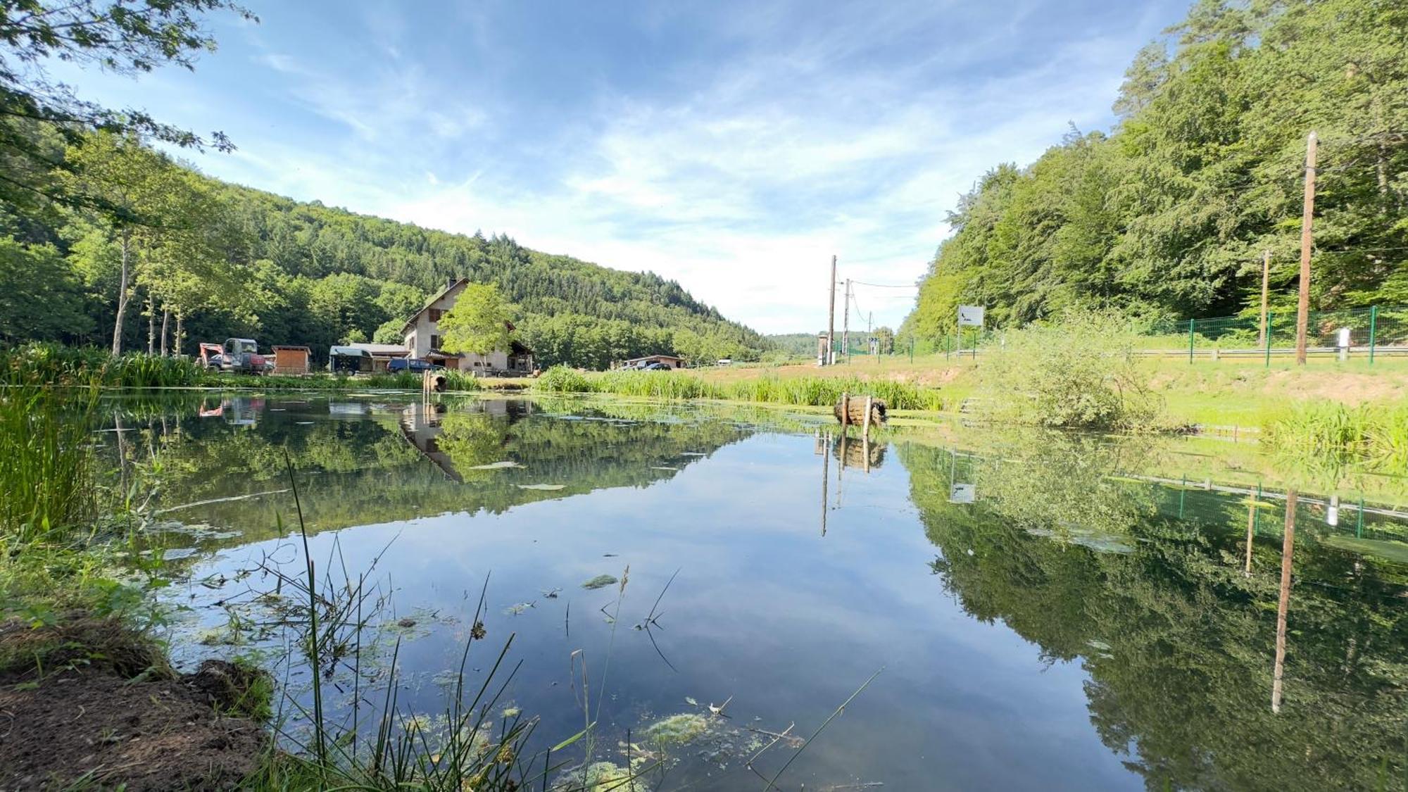 Maison D'Hotes En Pleine Nature Avec Chevaux Soucht Exterior foto