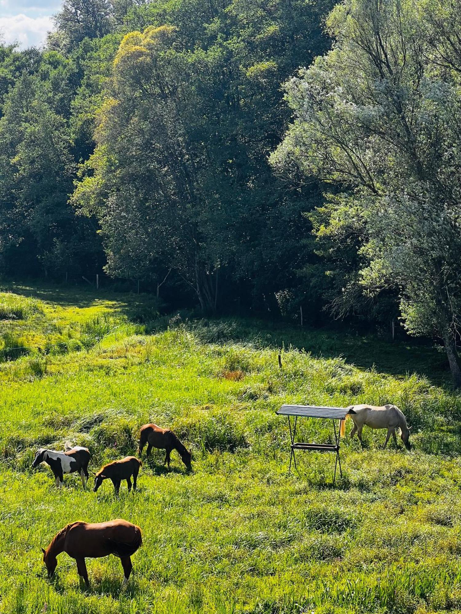 Maison D'Hotes En Pleine Nature Avec Chevaux Soucht Exterior foto