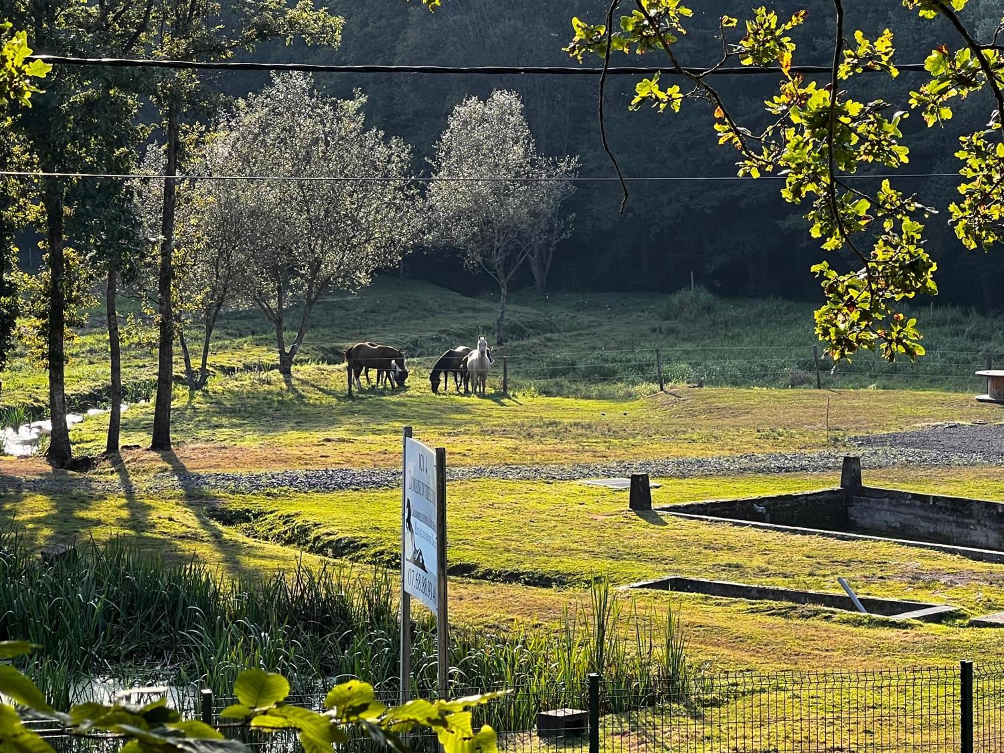 Maison D'Hotes En Pleine Nature Avec Chevaux Soucht Exterior foto